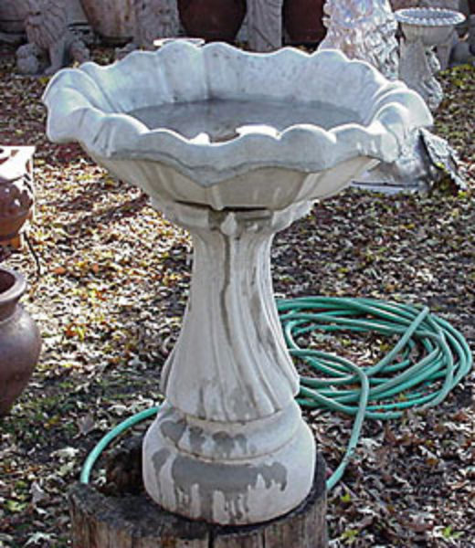 Tulip Birdbath